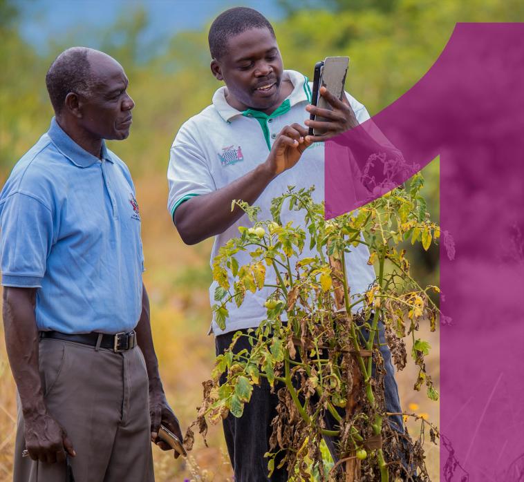 Photo of two agriculturists using mobile technology in field