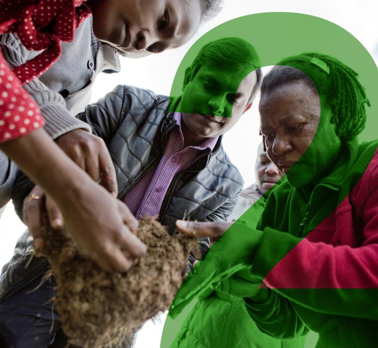 Agriculturists examining soil